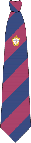 provincial-mark-tie.png